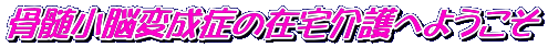 ]ϐǂ̍ݑւ悤